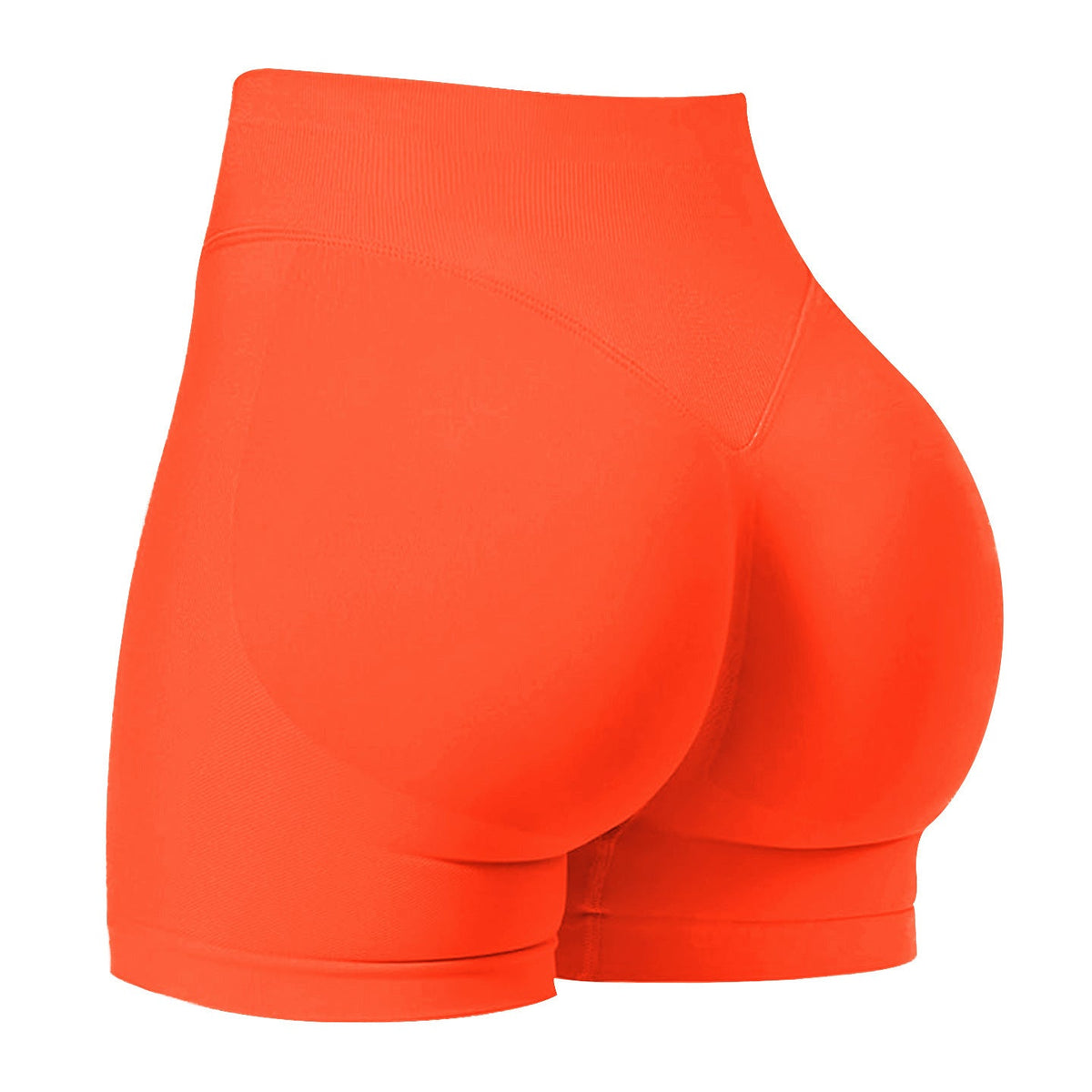 FELINE | Fitness Radlerhose mit Hohem Bund